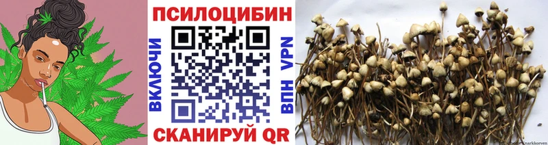Галлюциногенные грибы Cubensis  купить   Верещагино 